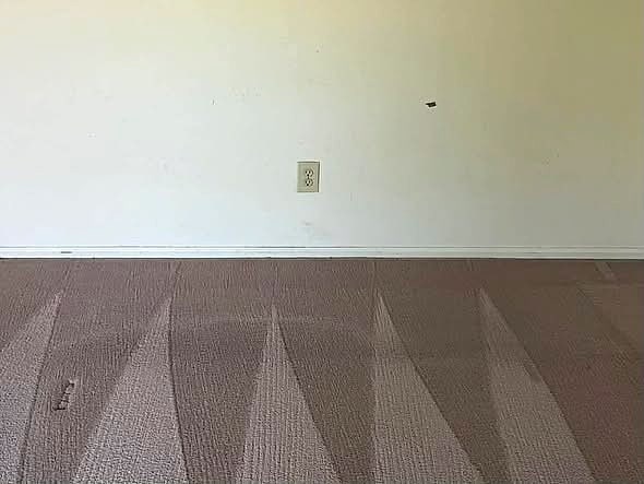 Freshly cleaned carpet with crisp vacuum lines
